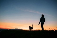Dog-Walking-Services